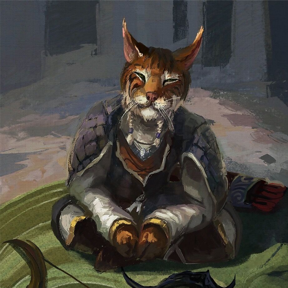 Каджитский караван