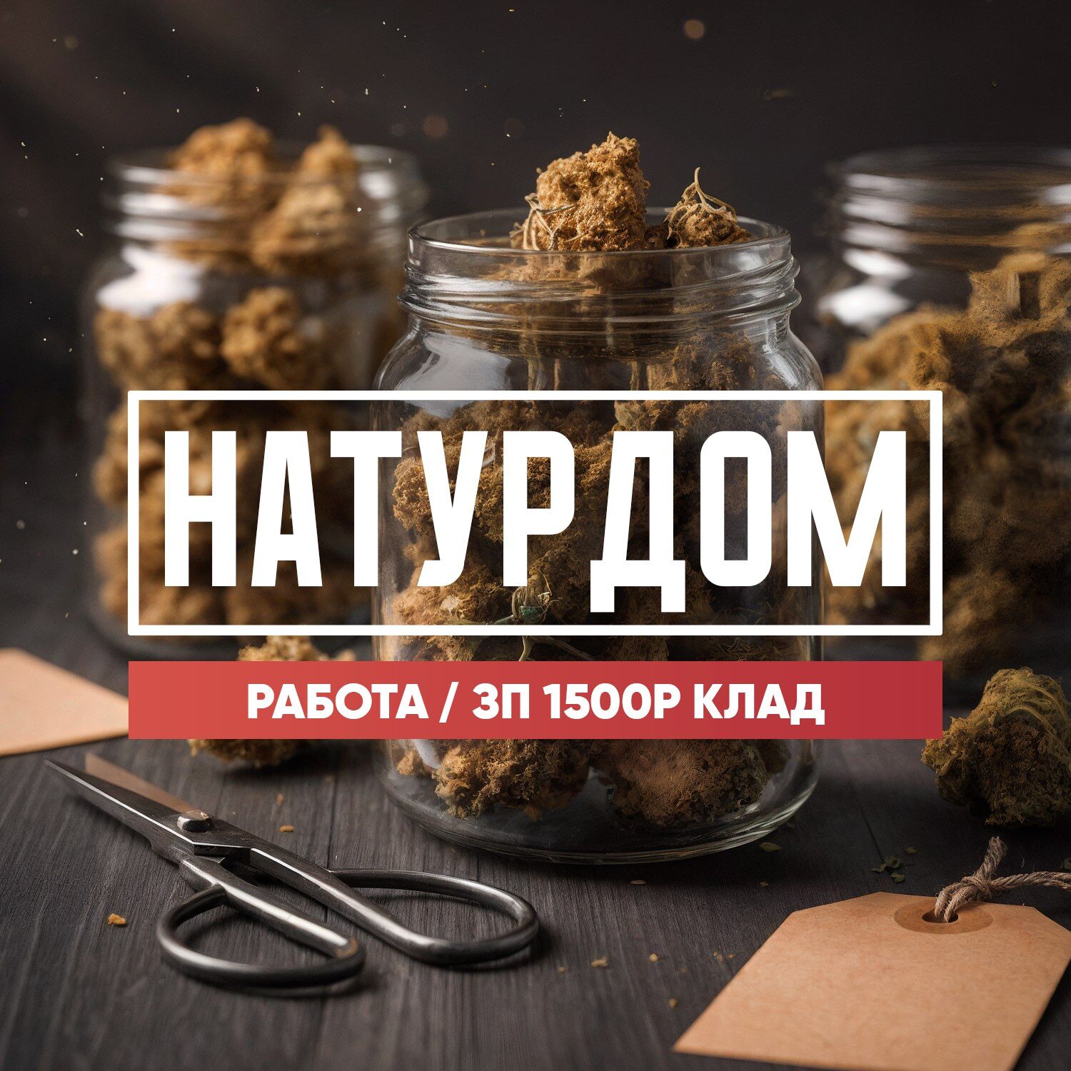 Натур Дом