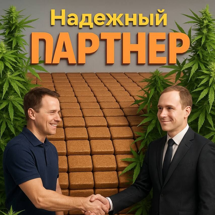 Партнёр