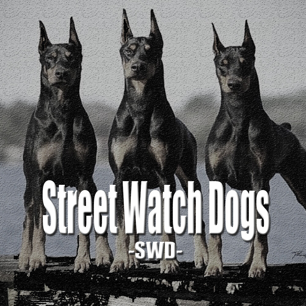 Street Watch Dogs