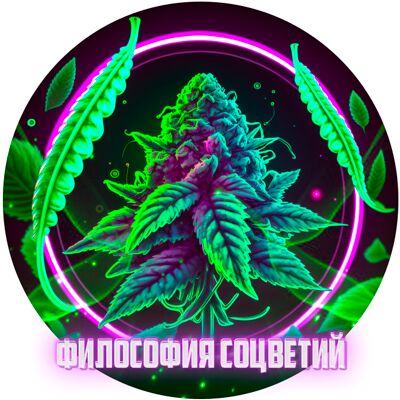 Философия Соцветий