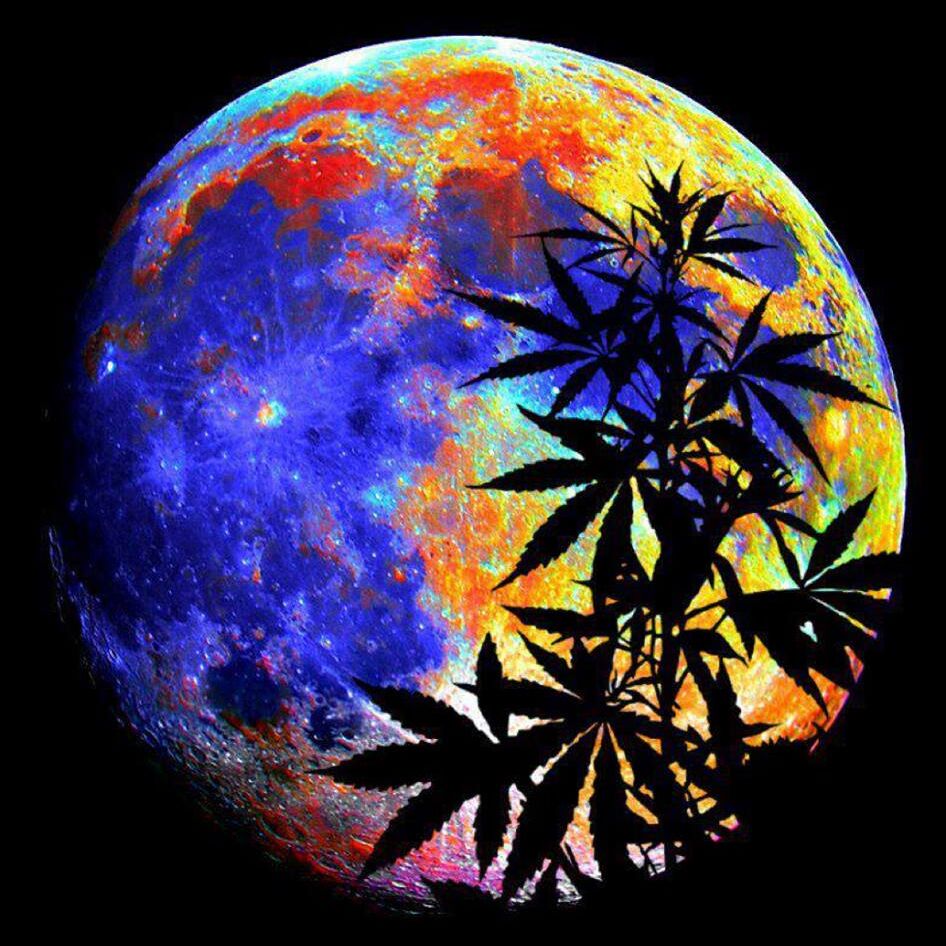 Психоделик