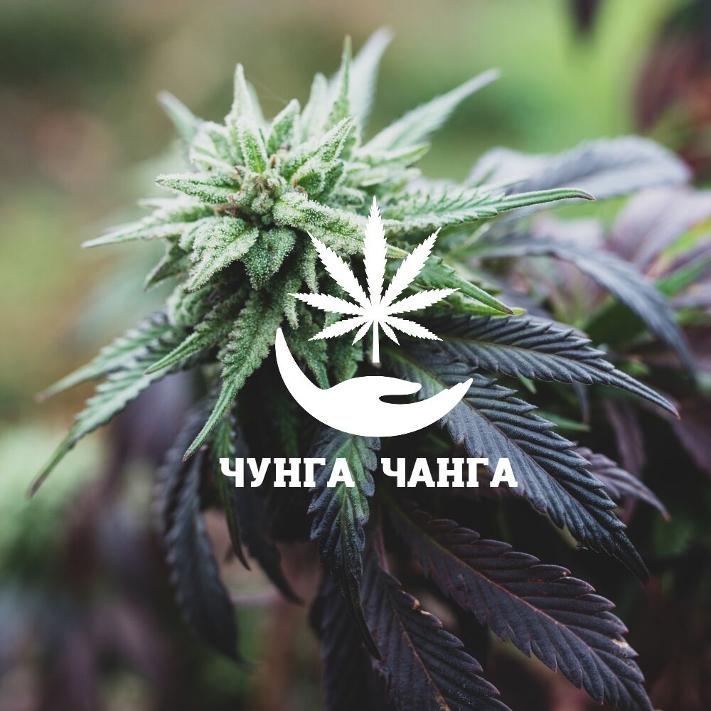 Чунга Чанга