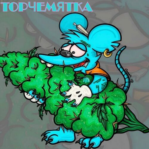 Торчемятка