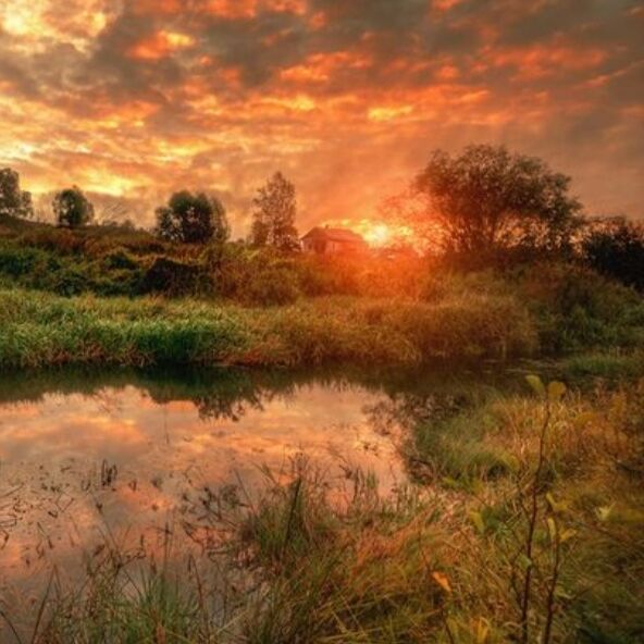 Русь-Матушка