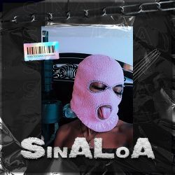 SinALoA 2.0